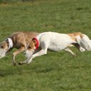 Jamie Galvin - @JamieGalvin6 - Twitter