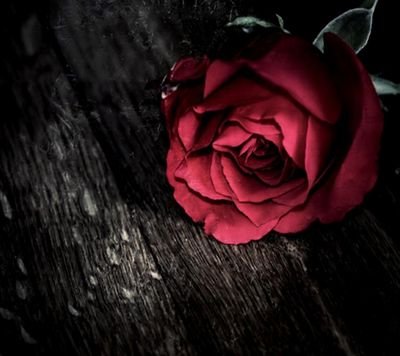 الي حاب يتابعني Instagram:fatmah_moh