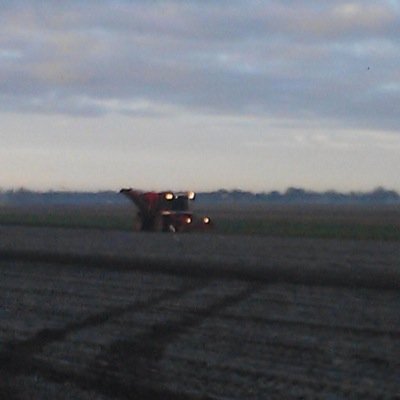 riksteenge's profile picture. Akkerbouwer