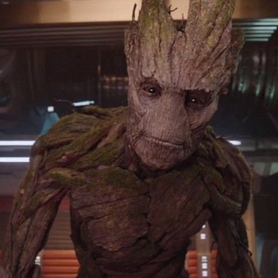 grooott's profile picture. @avegners we r groot k