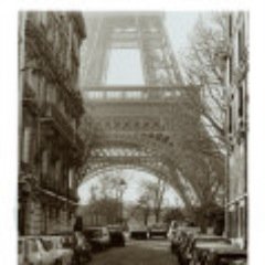 morganayn1's profile picture. 