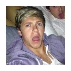 ask for a follow back on @95sziam