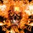 kane_zkane1488's profile image