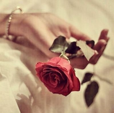 hindlove2210's profile picture. 