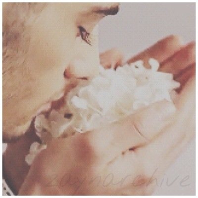 zaynarchive's profile picture. 