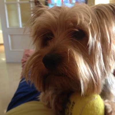 indianamalaga's profile picture. 