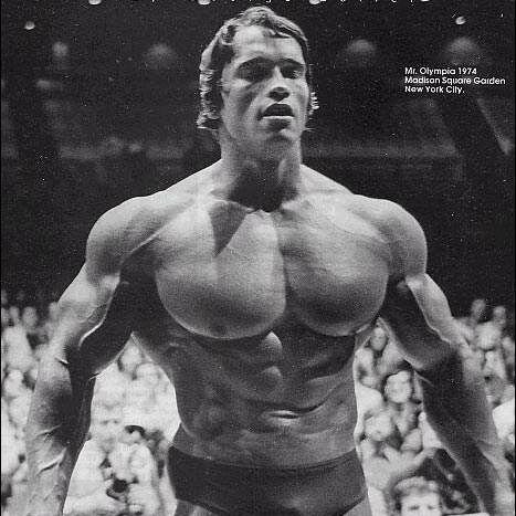 viacompany1's profile picture. 