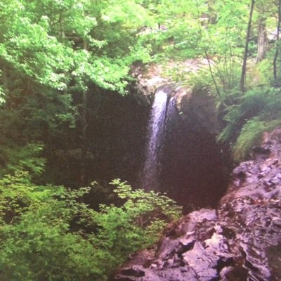 wanderarkansas's profile picture. 