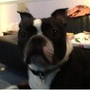 Steve Streeter - @s_m_streeter - Twitter