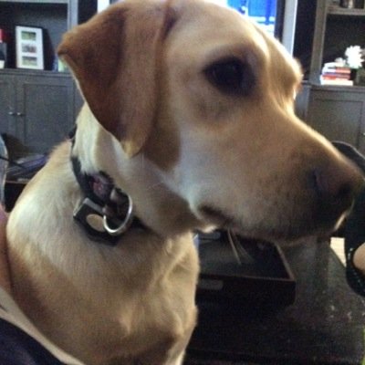 davidfanningnz's profile picture. 