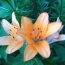 ~*K@Ïł€¥*~ - @KaileyHoffman2 - Twitter