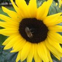 Graf Manuela - @manuela_graf - Twitter