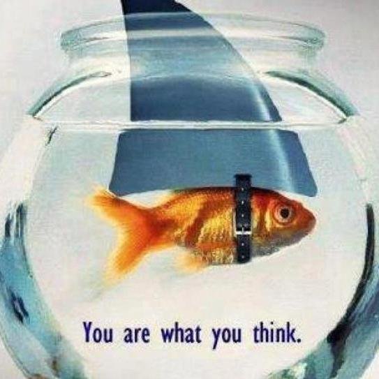 FreemanDu62's profile picture. 