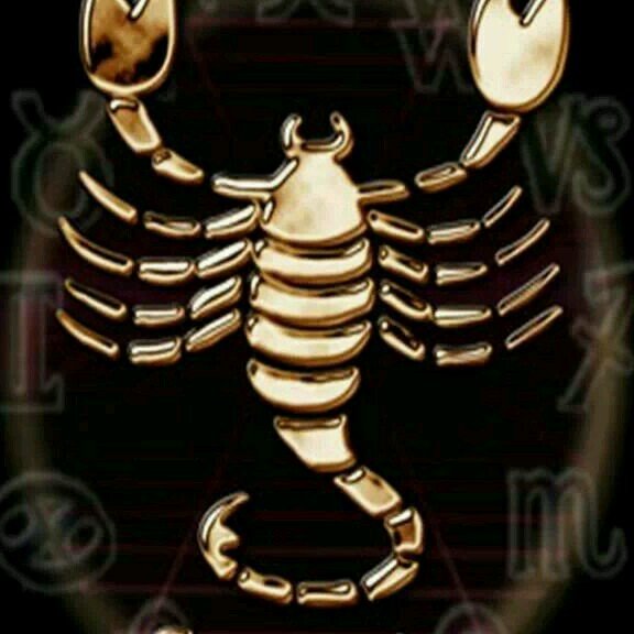 Bro5000me's profile picture. 