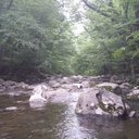 Susan Orman - @swoozieqt - Twitter