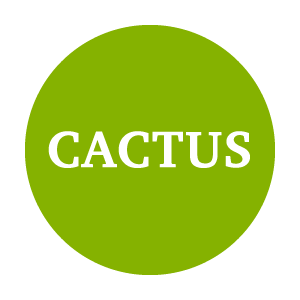 cactuscreativee's profile picture. Web Creative Studio. We create website. Beautiful Websites. Creamos Paginas Web. Hermosas páginas web.