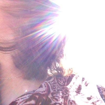 TypicalTerrie's profile picture. 