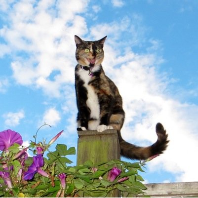 JennTerese's profile picture. 