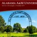 AAMU Student Account (@AAMUStdntAccts) Twitter profile photo