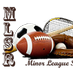 MinorLeagueSports (@minorlgereport) Twitter profile photo MinorLeagueSports (@minorlgereport) Twitter profile photo