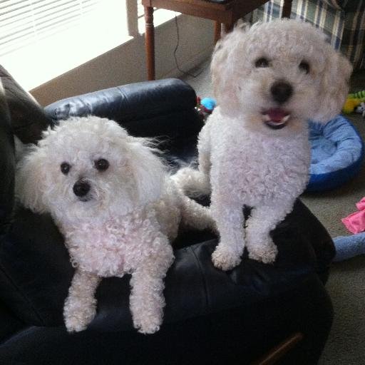 SNBroa's profile picture. 