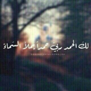 سبحان الله وبحمده سبحان الله العظيم .