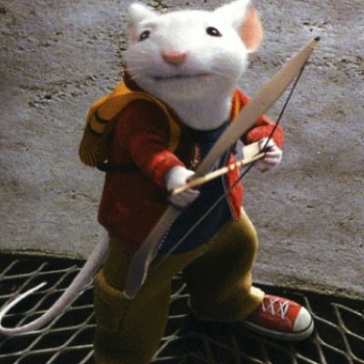 Heyo. Stuart Little here, but I let my homies call me Lil Stuart. I like pussy, cheese, and driving my nice car. Tata now! #DTF