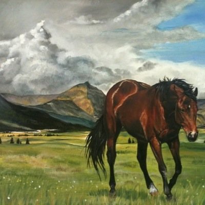 PFurries's profile picture. I'm in love with animals.
Just started riding horses. Love it.
Westies FTW!
Hamsters, Turtles :3
Medicine Student3