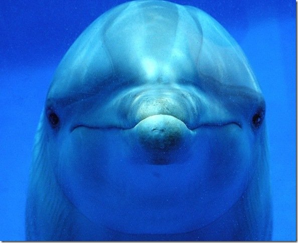 rahwerr's profile picture. Avatar