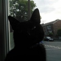 Paul Campbell (@paul_campobelli) Twitter profile photo