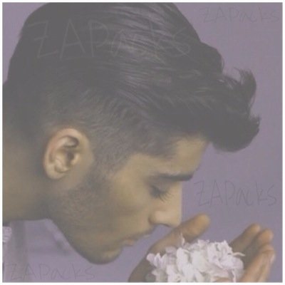 @zoudiacsigns & @zaynxo