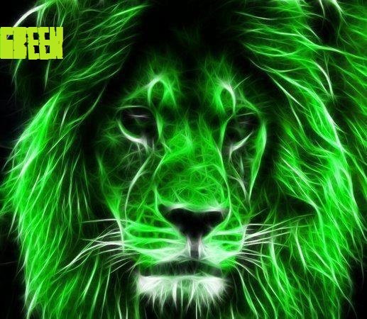 FunkyStradaCat's profile picture. #ADR