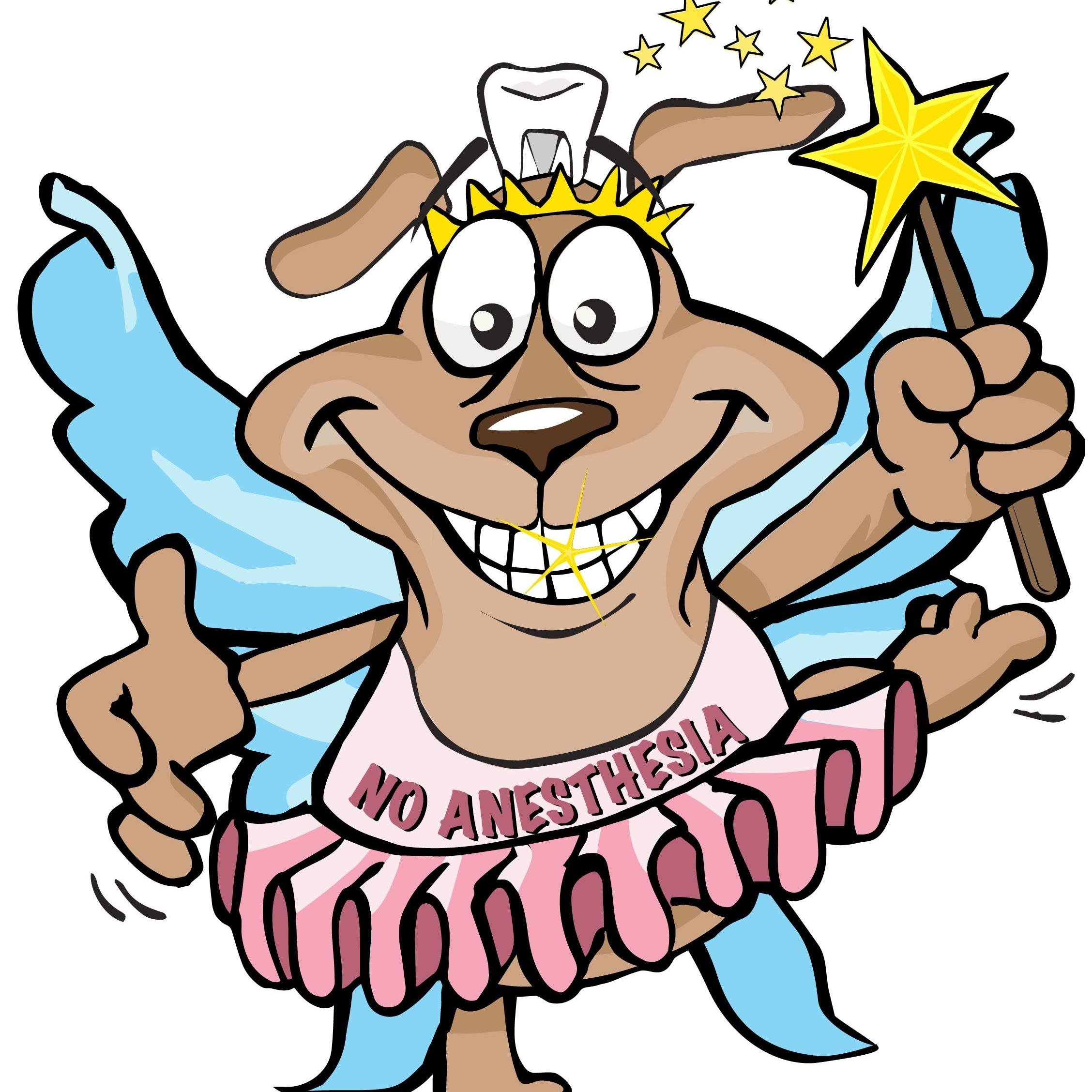 The Natural Pet Tooth Fairy specializes in professional anesthesia-free dental cleanings for your dog or cat.

We are a specialty Veterinarian service