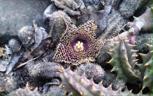 csabakk's profile picture. 