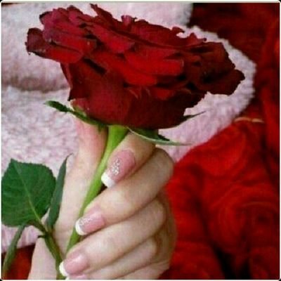 في العطاء كشجرة مثمره ممتدت الظل وفي الصمود كنخله صامده رغم الظروف