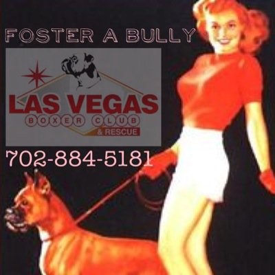 Las Vegas Boxer Club & Rescue  is a social group that shares a passion for Boxers