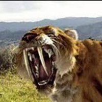Jay Sabre (@noltjay) 's Twitter Profile