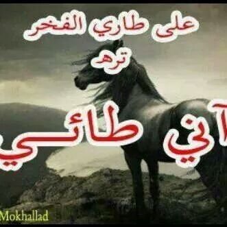 ahmedmrse11 Profile Picture