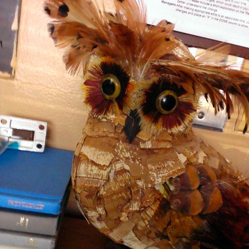 PmartRoy's profile picture. Been with PetSmart for 3 years. Pet Products Manager