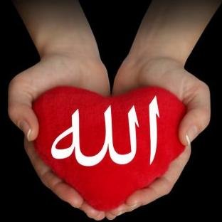 al7ayat10's profile picture. سهولة الحياة في تقوى الله