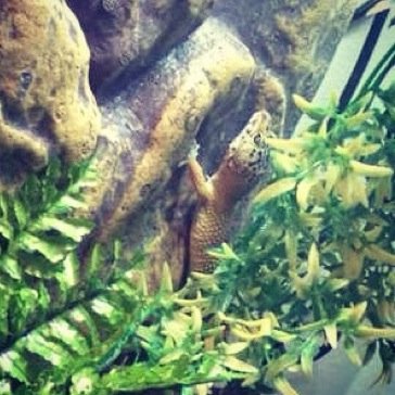 stevenvaughan46's profile picture. Hi✌️