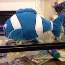 Brandon Dang - @bbog123 - Twitter