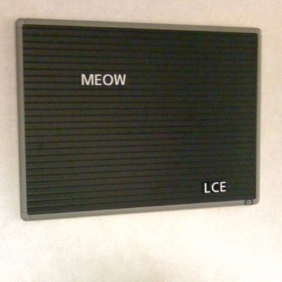 SavEdmonton's profile picture. 