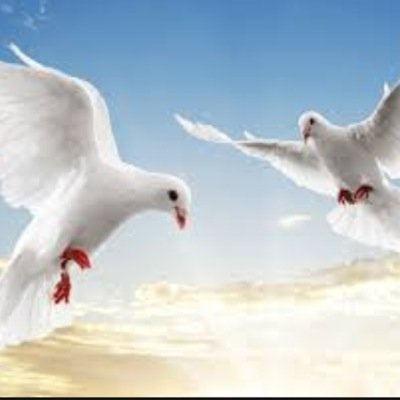 ربّ زدني علمًا وألحقني بالصالحين..