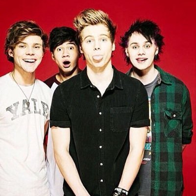 im meeting 5sos on their arena tour in 2015 and am putting together a HUGE fan book for them to say thank you - dm me what you want in it and I can do it