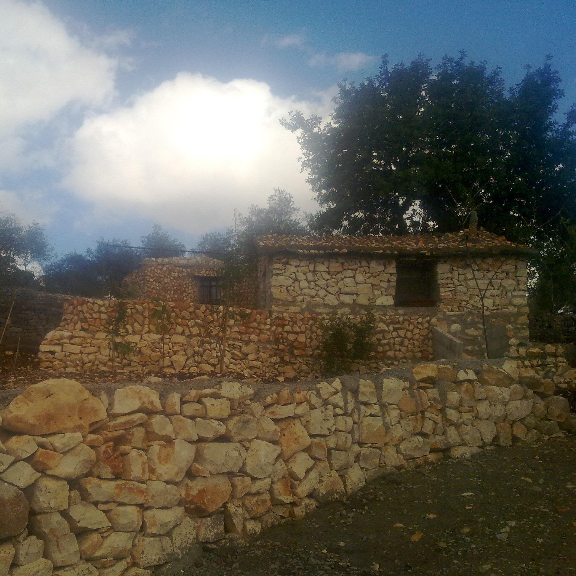 vhy2344's profile picture. 