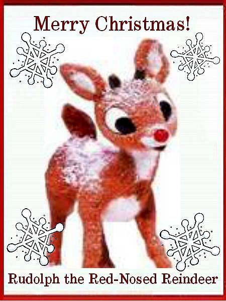Rudolph Reindeer Rednoserudy Twitter