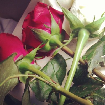 instagram:Atyaf999