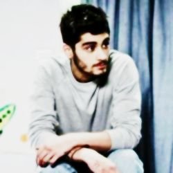 zayntloml's profile picture. chicken on harry.