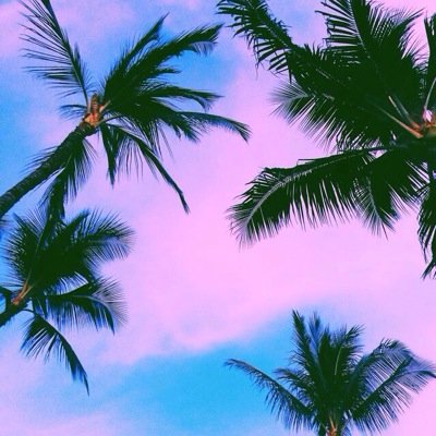 ALIENBABEZ's profile picture. kawaii kitty.